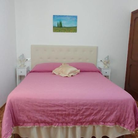 Dalla Carla In Toscana Monte San Savino Buitenkant foto