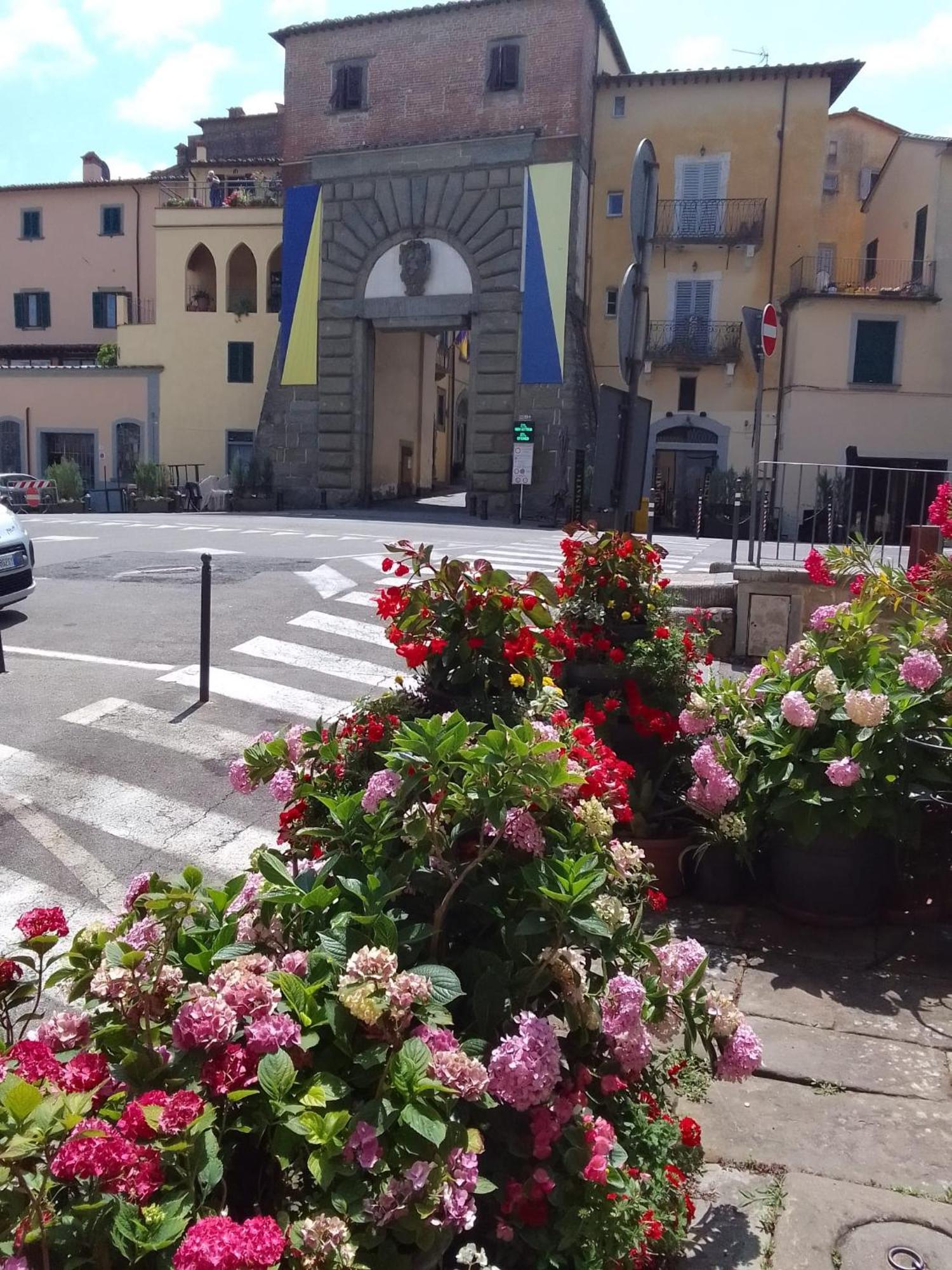 Dalla Carla In Toscana Monte San Savino Buitenkant foto